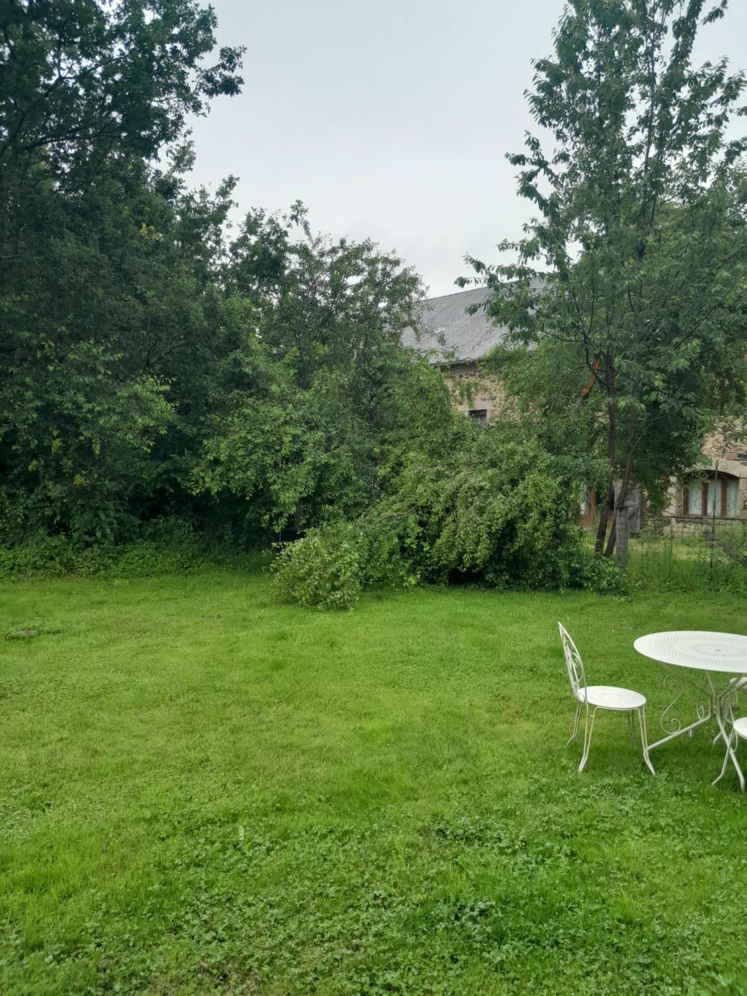 La Petite Salamandre Bleue La Croisille-sur-Briance Esterno foto